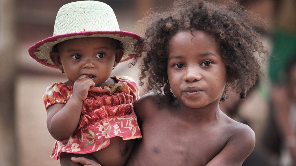 ما هي أخطر الحيوانات في مدغشقر